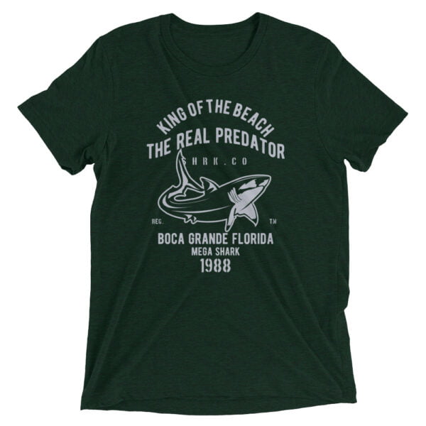 Unisex Tri Blend T Shirt Emerald Triblend Front 654a8c8237b8b.jpg