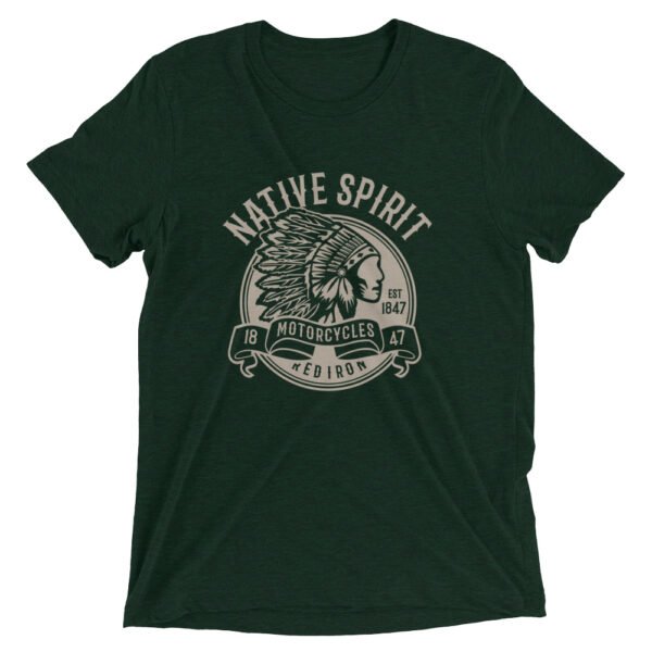 Unisex Tri Blend T Shirt Emerald Triblend Front 654b56e7c82cc.jpg