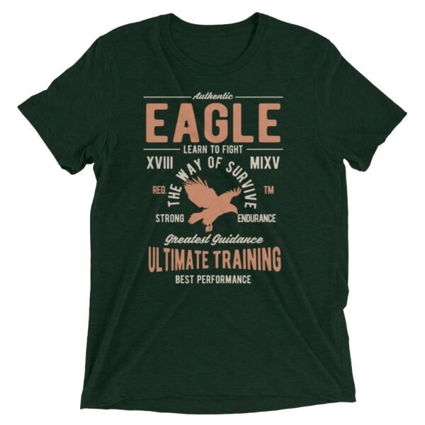 Unisex Tri Blend T Shirt Emerald Triblend Front 654ec3f94f346.jpg