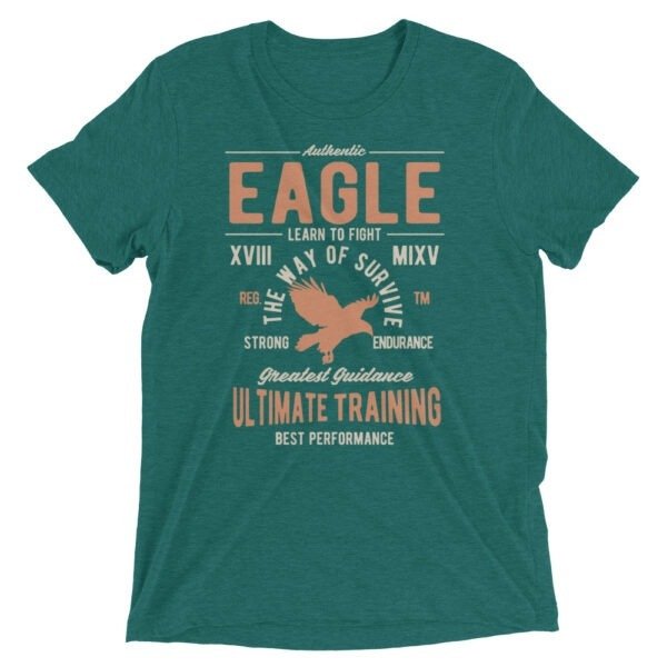 Unisex Tri Blend T Shirt Teal Triblend Front 654ec3f953d7e.jpg